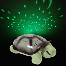 Turtle Planetarium/Night Light in
