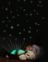 Turtle Planetarium/Night Light in