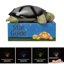 Turtle Planetarium/Night Light in