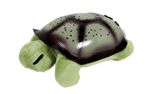 Turtle Planetarium/Night Light in