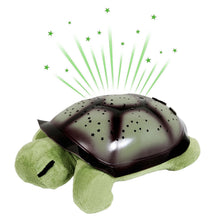 Turtle Planetarium/Night Light in