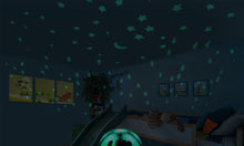 Turtle Planetarium/Night Light in