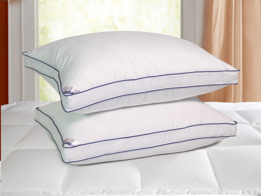Kathy Ireland HERILOOM Swiss Dot Down Alternative pillow 2 pack in Jumbo