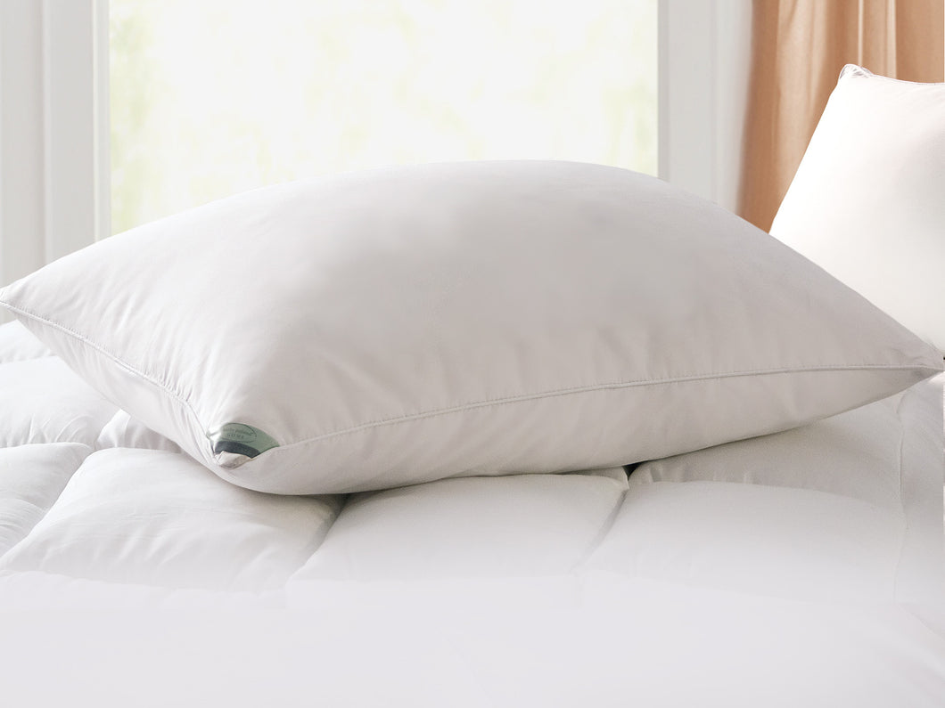 Kathy Ireland ESSENTIALS Microfiber Down pillow in Jumbo